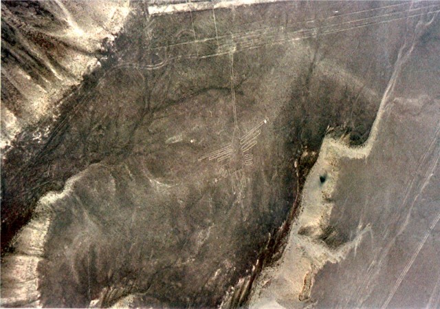 nazca5