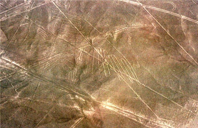 nazca7